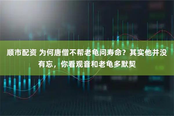 顺市配资 为何唐僧不帮老龟问寿命？其实他并没有忘，你看观音和老龟多默契