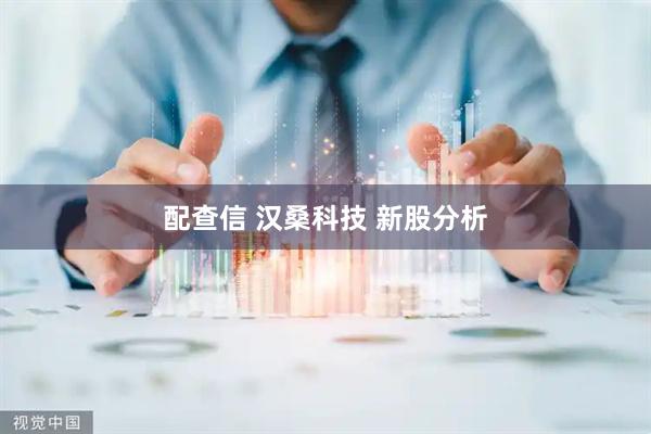 配查信 汉桑科技 新股分析