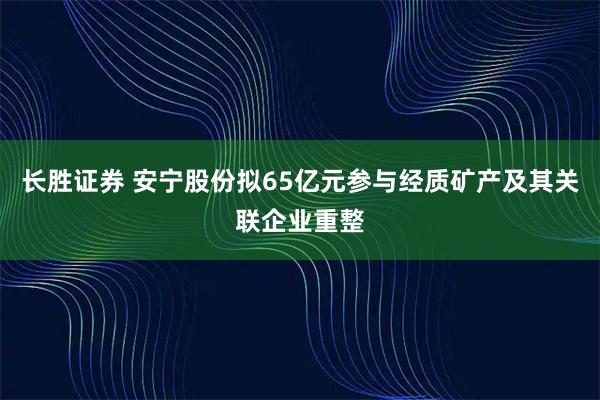 长胜证券 安宁股份拟65亿元参与经质矿产及其关联企业重整