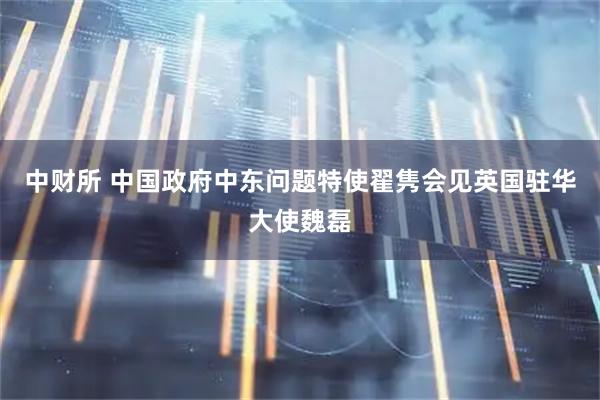 中财所 中国政府中东问题特使翟隽会见英国驻华大使魏磊