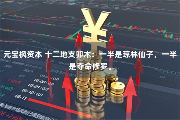 元宝枫资本 十二地支卯木：一半是琼林仙子，一半是夺命修罗。