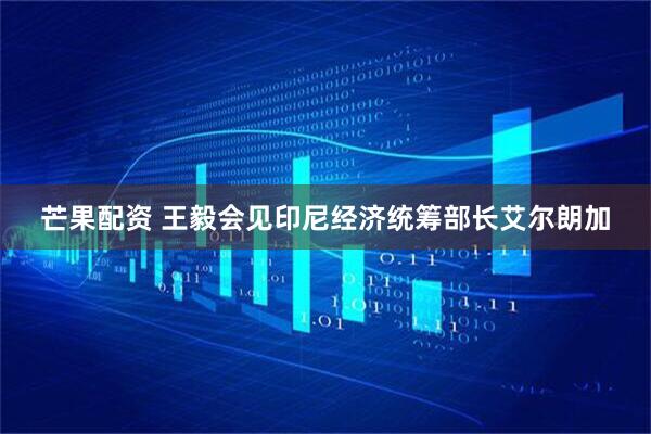 芒果配资 王毅会见印尼经济统筹部长艾尔朗加