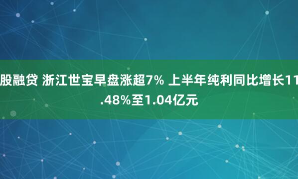 股融贷 浙江世宝早盘涨超7% 上半年纯利同比增长11.48%至1.04亿元